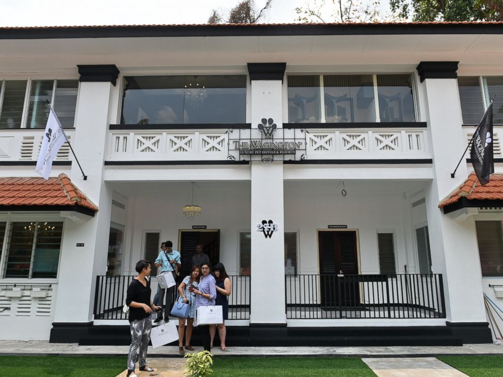 PHOTO: This general view shows the exterior of the Wagington luxury pet hotel in Singapore on Nov. 4, 2014.