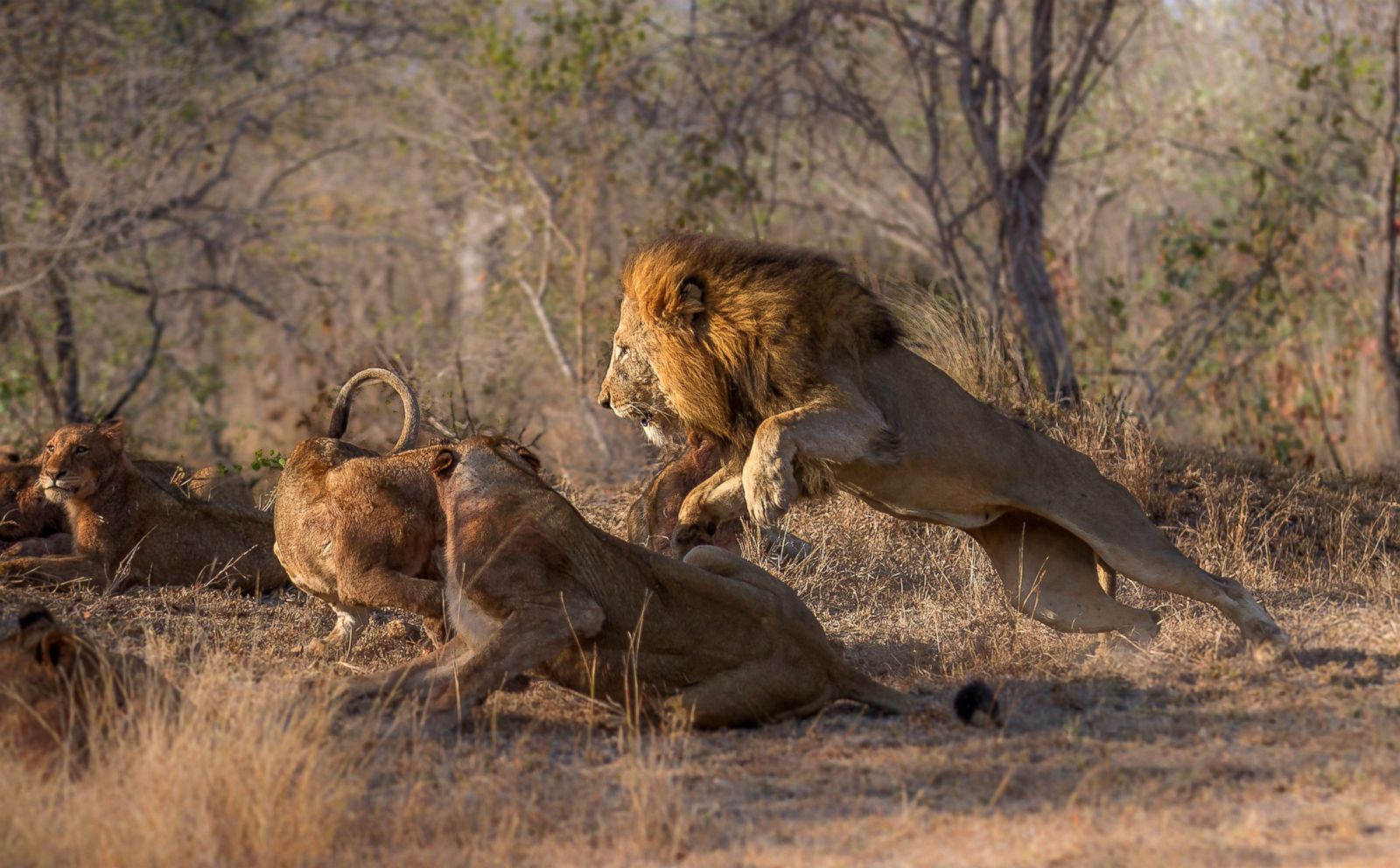 2015 Africa Geographic Photographer of the Year Award Picture | 2015 ...