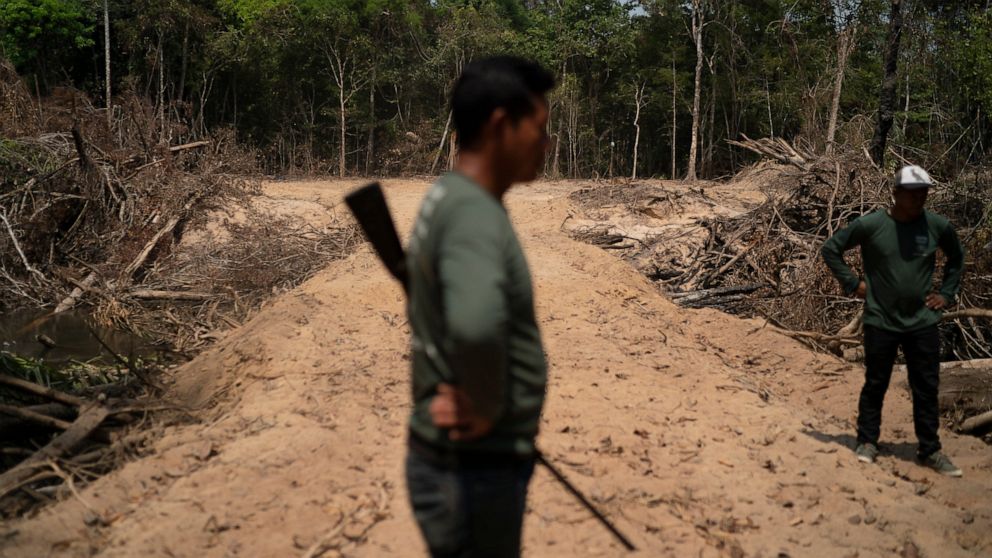 FILE - Monhire Menkragnotire, of the Kayapo indigenous community, center, surveys an area where illegal loggers opened a road to enter Menkragnotire indigenous lands, where logging is illegal, on the border with the Biological Reserve Serra do Cachim