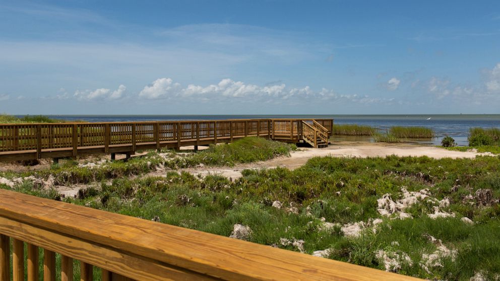 In this Aug. 7, 2019 photo, the newly renovated boardwalk at the Aransas National Wildlife Refuge in Austwell, Texas, connects the observation towers and the Big Tree Trail along the San Antonio Bay. (Emree Weaver/The Victoria Advocate via AP)