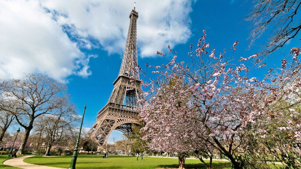 The Eiffel Tower from the Champs de Mars park in spring time with cherry blossom, in this undated stock photo, in Paris.