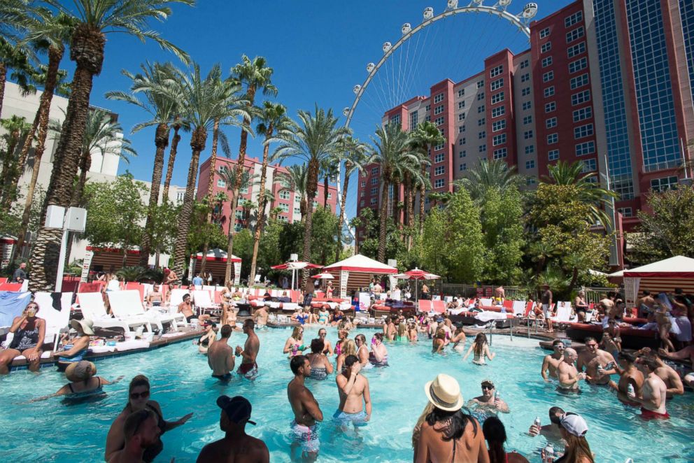 flamingo pool las vegas pictures