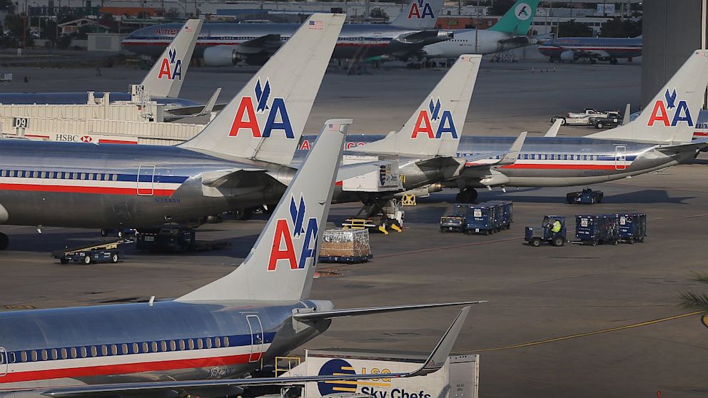 PHOTO: An American Airlines flight attendant is suing the airlines after co-workers accused her of smuggling her pet rats onto her airplane.
