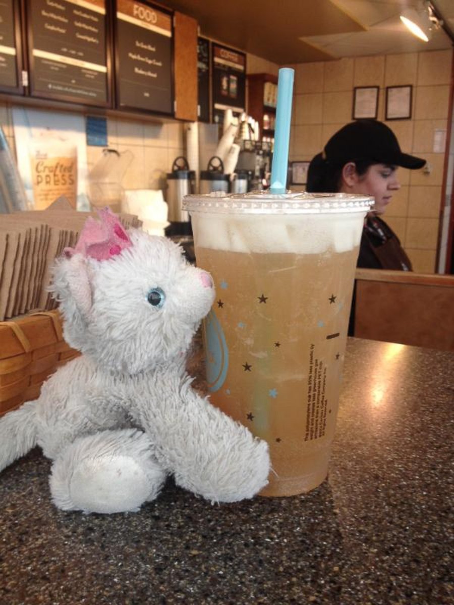PHOTO: Princess Kitty visited one of the coffee concessions in the main terminal of Denver International Airport.
