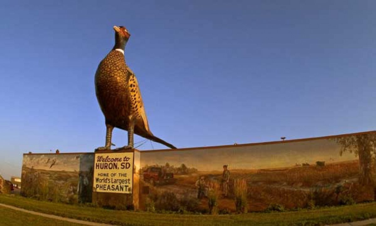 PHOTO: World's Largest Pheasant is seen on the Huron, South Dakota's visitors website. 