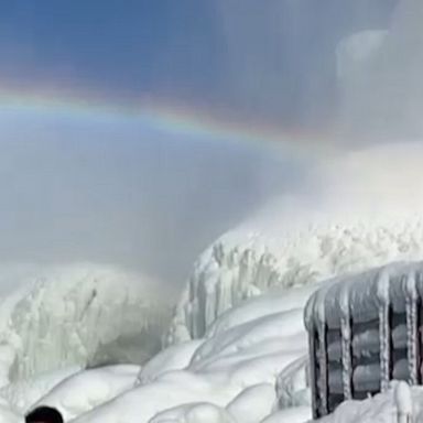 Tourists flocked to visit a frozen Niagara Falls.