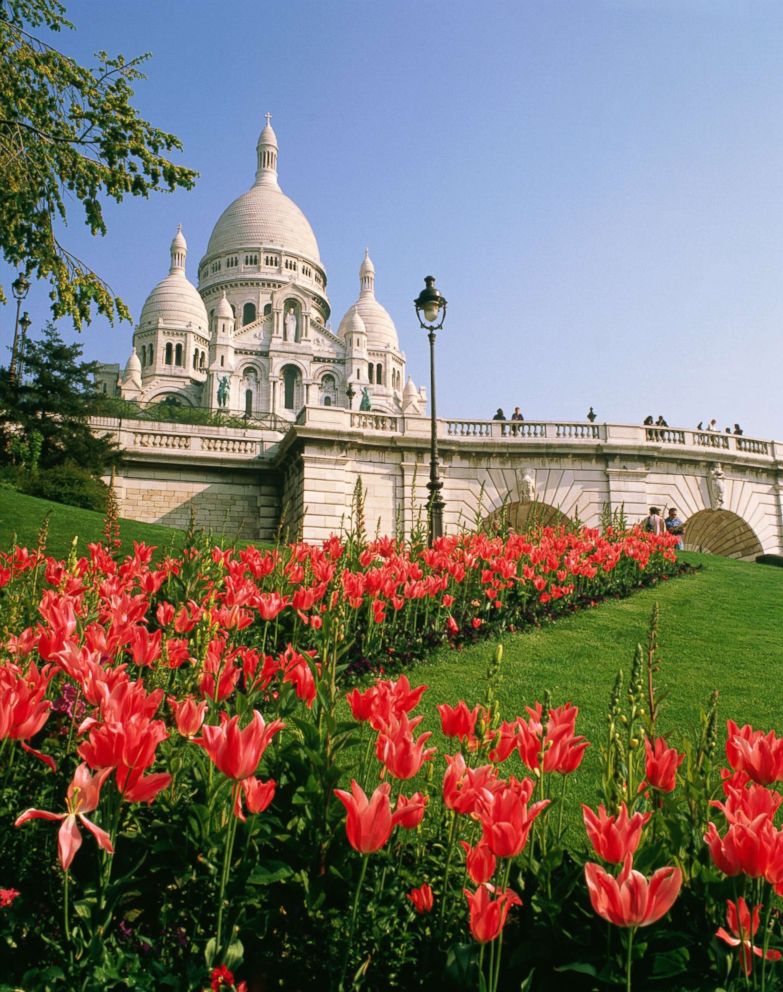 PHOTO: Sacre Coeur is surrounded by pink tulips in this spring, in this undated stock photo, in Paris.