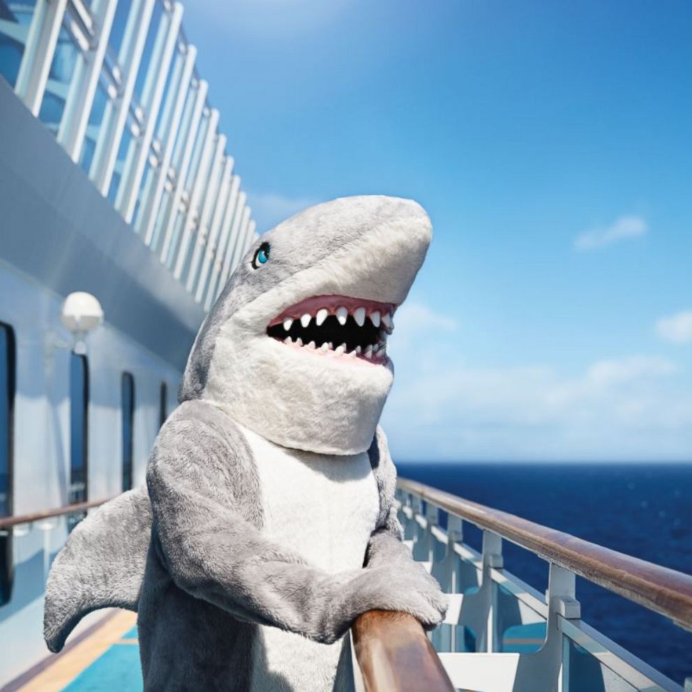 VIDEO: 'Shark week' themed cruises are here and we're scared and excited