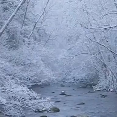 Snow-covered trees frame an idyllic winter scene in the Great Smoky Mountains.