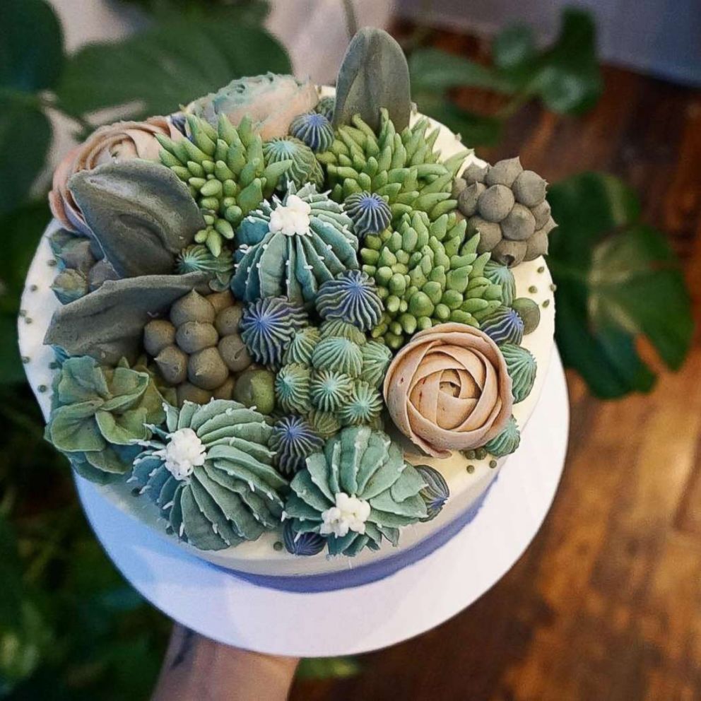 This NYC bakery makes the most Instagram-worthy succulent cakes - ABC News