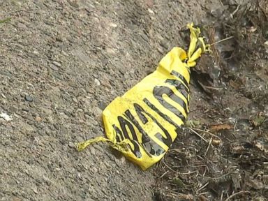 11-year-old girl killed at sleepover by stray bullet