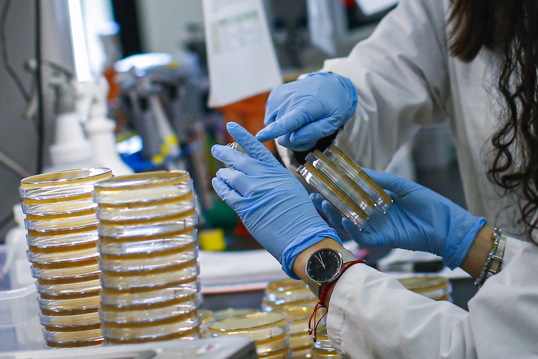 PHOTO: NUTLEY, NJ - FEBRUARY 28: A researcher sorts samples in a lab that is developing testing for the COVID-19 coronavirus at Hackensack Meridian Health Center for Discovery and Innovation on February 28, 2020 in Nutley, New Jersey. 