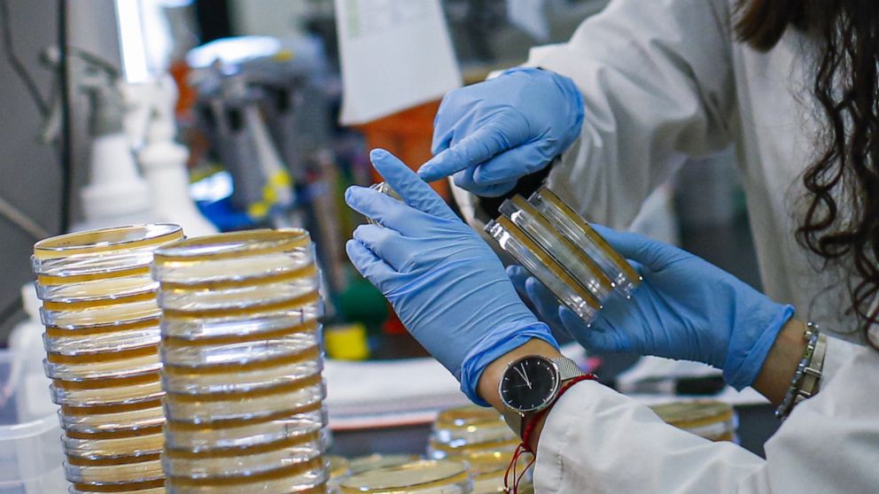 PHOTO: NUTLEY, NJ - FEBRUARY 28: A researcher sorts samples in a lab that is developing testing for the COVID-19 coronavirus at Hackensack Meridian Health Center for Discovery and Innovation on February 28, 2020 in Nutley, New Jersey. 