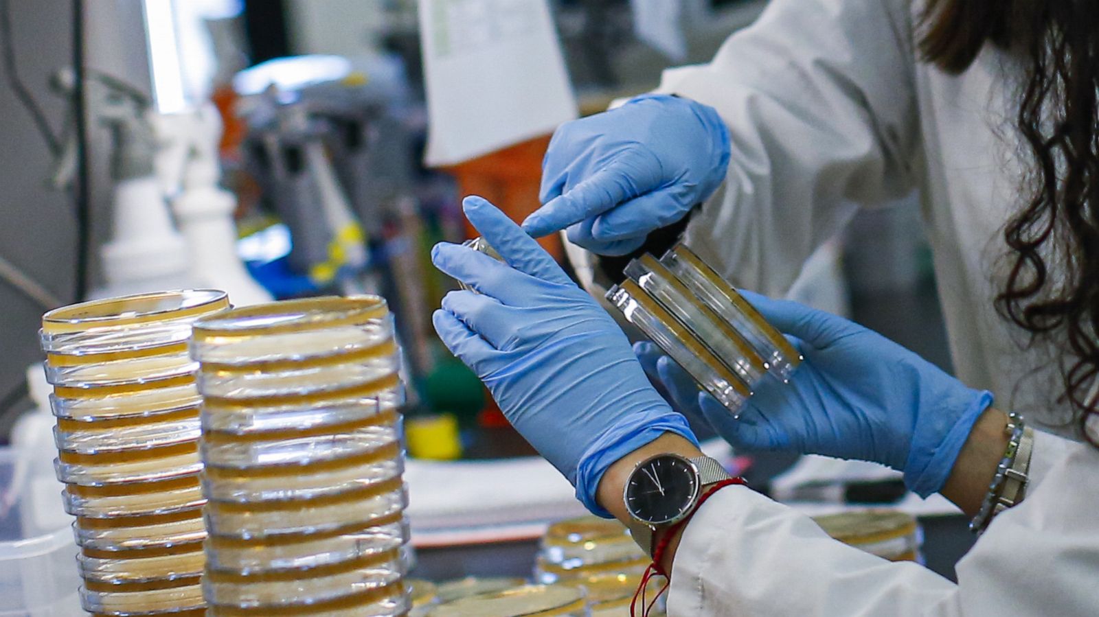 PHOTO: A researcher sorts samples in a lab that is developing testing for the COVID-19 coronavirus at Hackensack Meridian Health Center for Discovery and Innovation in Nutley, N.J.. Feb. 28, 2020.