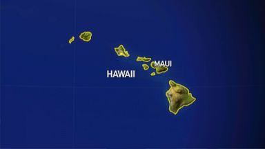 Teenager Hitches Flight on Hawaii-Bound Plane