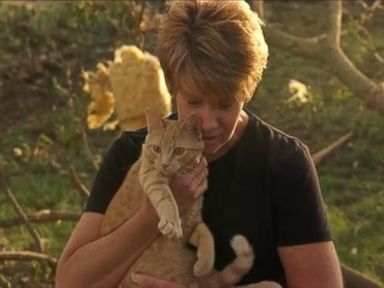 VIDEO: See the Incredible Moment a Tornado Survivor Is Reunited With Her Cat