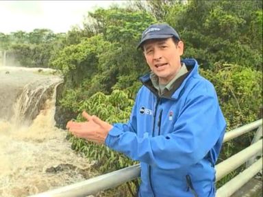 VIDEO: Tropical Storm Iselle brought heavy rains, strong winds, downed trees and power outages.