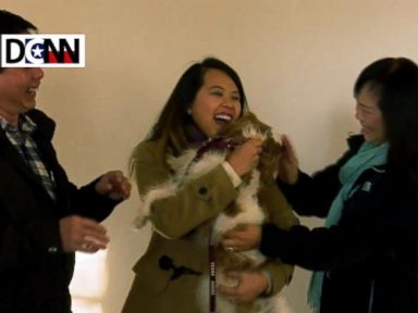 VIDEO: Nina Pham's Emotional Reunion With Dog Bentley