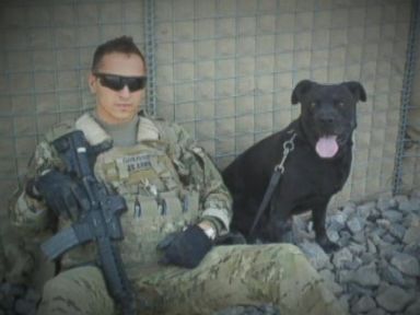 VIDEO: Military Dog Gets Special Heart Surgery 