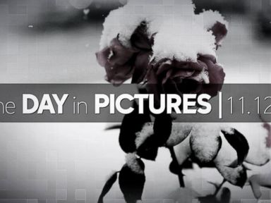 VIDEO: Day In Pictures 11.12.14