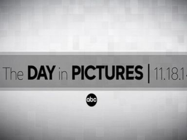 VIDEO: Day In Pictures 11.18.14