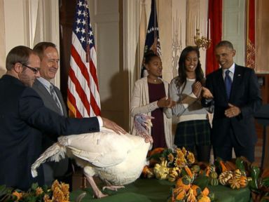 VIDEO: President Obama Pardons Cheese the Turkey 