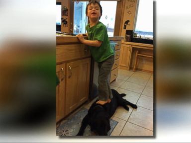 VIDEO: The former vice presidential candidate drew social media ire after posting a photo of her 6-year-old son Trig standing on their family pet.