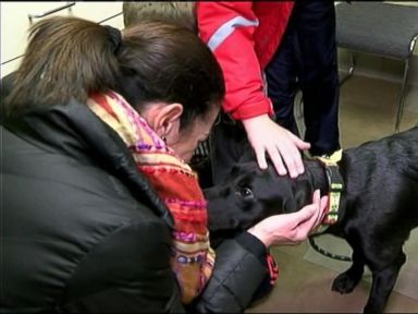 VIDEO: One Labrador puppy in Oklahoma has a taste for treats that is proving to be expensive.