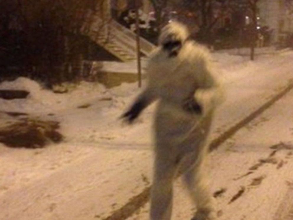 Blizzard 2015: Yeti Seen Prowling the Streets Near Boston - ABC News