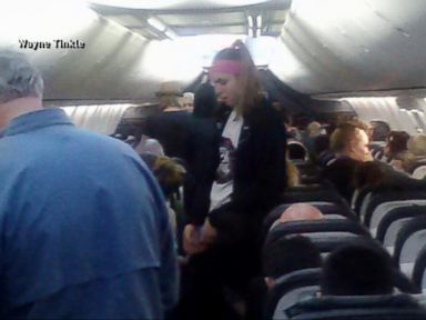 VIDEO: Alaska Airline officials "don't know exactly where" the animal came from.