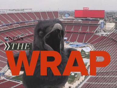 VIDEO: Superbug Outbreak in California Hospital; Frigid Temps Across U.S.; Raven Squawks at Levi's Stadium camera.