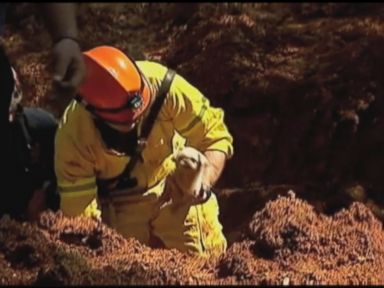 VIDEO: Toshi, a 6-week-old puppy, was trapped in a six-foot deep hole near an Atlanta-area apartment building.