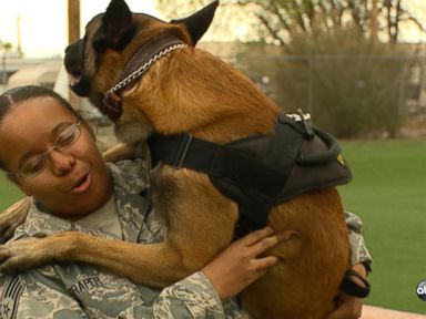 VIDEO: Bark and Awe: Meet The Working Dogs Of The U.S. Military