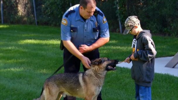 Video Boy Donates Birthday Money To Protect K9's - ABC News