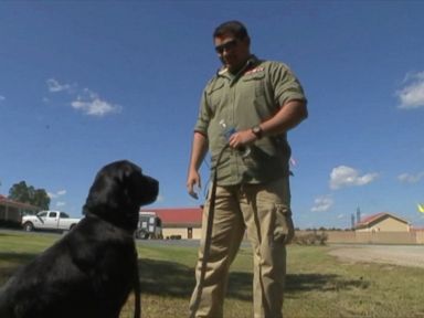 VIDEO: An adoption program is reuniting active and veteran Marines with dogs who were by their sides in Afghanistan.