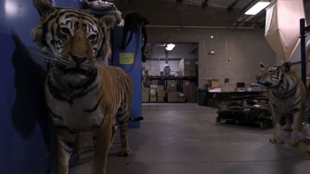 VIDEO: UNDERGROUND: Wildlife's House of the Dead