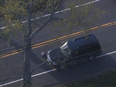 VIDEO: Steven Mayer was out jogging with his dog when he was struck and killed by a 17-year-old student driver.