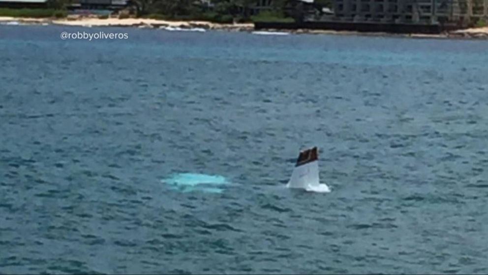 Video Fiery Crash Kills 5 On Skydiving Trip In Hawaii - ABC News