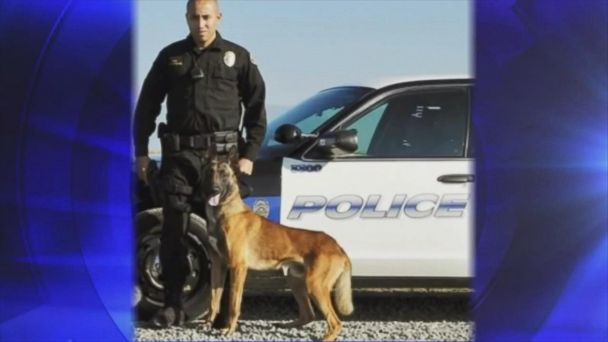 Video Police K9 Dies After Car Air Conditioning Fails - ABC News