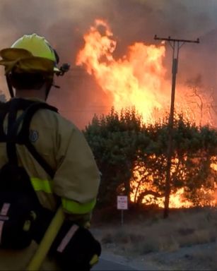 VIDEO: The nearly 1,600 firefighters battling the Blue Cut wildfire east of Los Angeles in San Bernardino County made their biggest gain Thursday against the ferocious blaze.