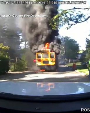 VIDEO: The bus driver, who removed all 20 children on board, was hailed as a hero.