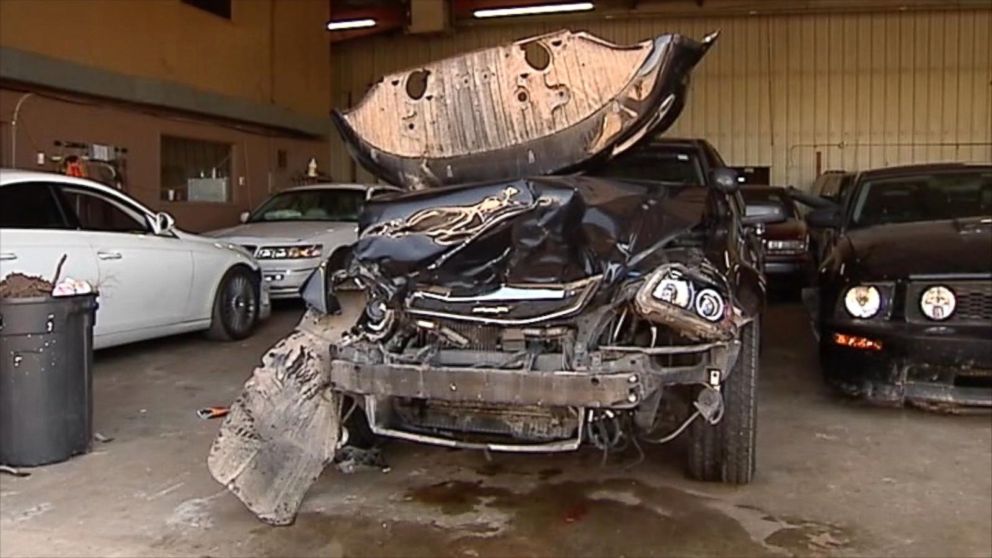 Video Captures Cow's Collision With Deputy's Car Video - ABC News