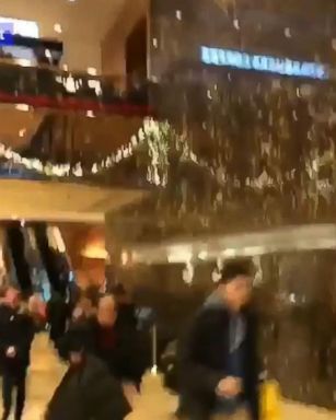 VIDEO: Trump Tower Lobby in NYC is Evacuated