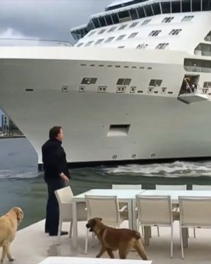 VIDEO: A 1,041-foot cruise liner edged dramatically close to a Florida man's property.