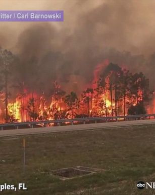 VIDEO: Large brush fire burning near Naples, Florida, grows to 6,000 acres, with smoke billowing over the highway and blocking out the sun. Only 30 percent of the fire has been contained.