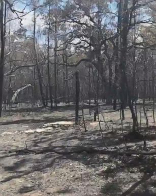 VIDEO: Over 100 wildfires scorch the state of Florida