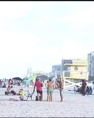 VIDEO: Lifeguards saw the shark lurking in the water and urged beachgoers to exit the water, but one man was bitten in the legs and sustained non-life-threatening gashes.