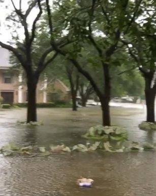 VIDEO: Harvey brings record flooding to Houston area