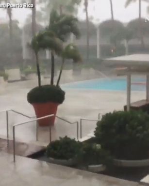 When Hurricane Irma hit San Juan, Puerto Rico, palm trees nearly blew over in the wind.