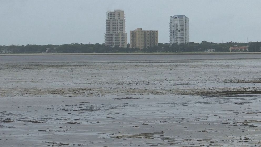 Waterless bay makes for a stunning sight in Tampa Video - ABC News